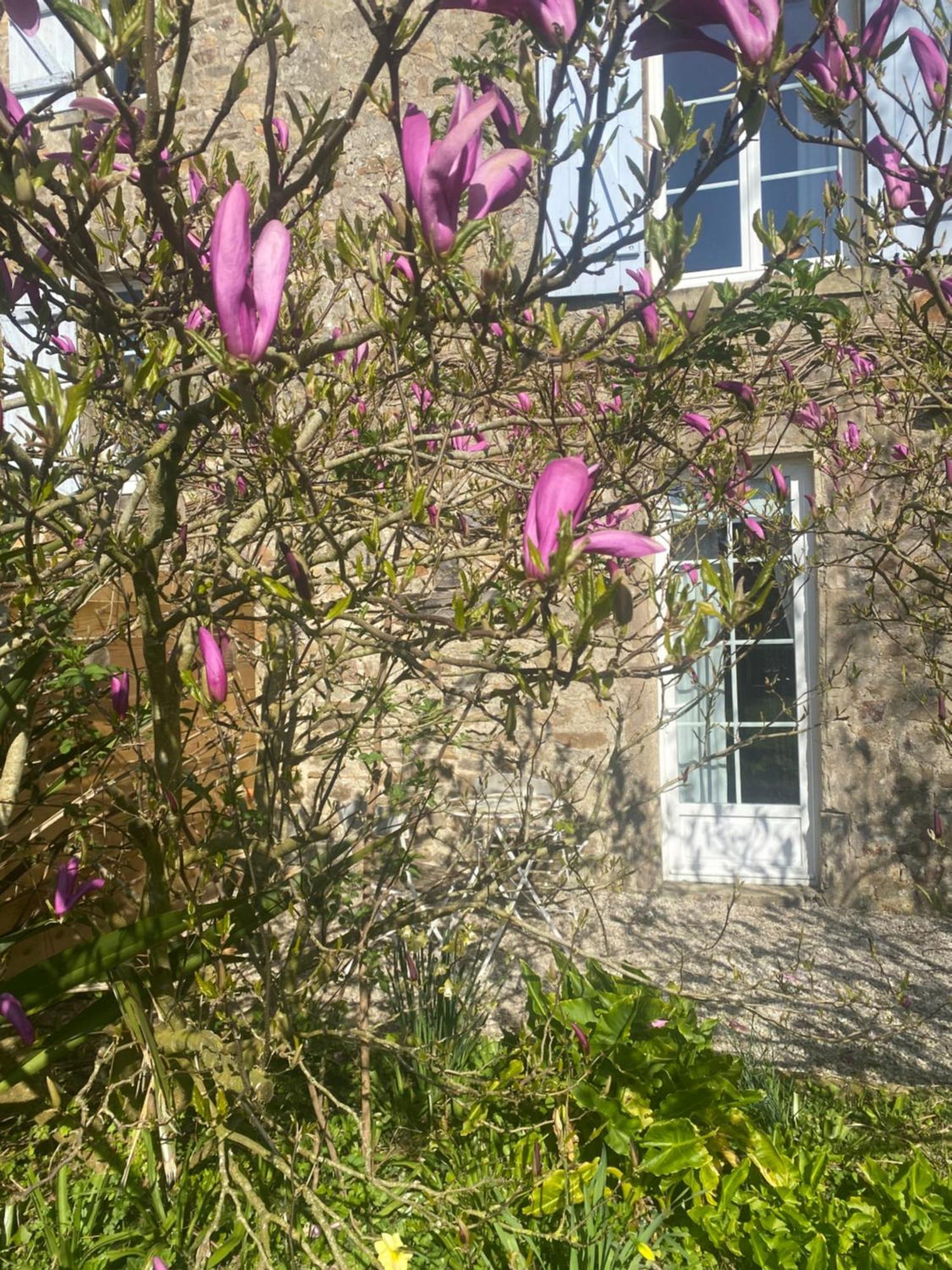 Chambre D'Hotes La Ferte Saint-Floxel Exterior foto